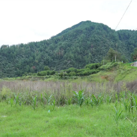 嚴(yán)厲打擊盜采盜挖礦產(chǎn)資源行為！國(guó)務(wù)院安委辦派出工作組明查暗訪